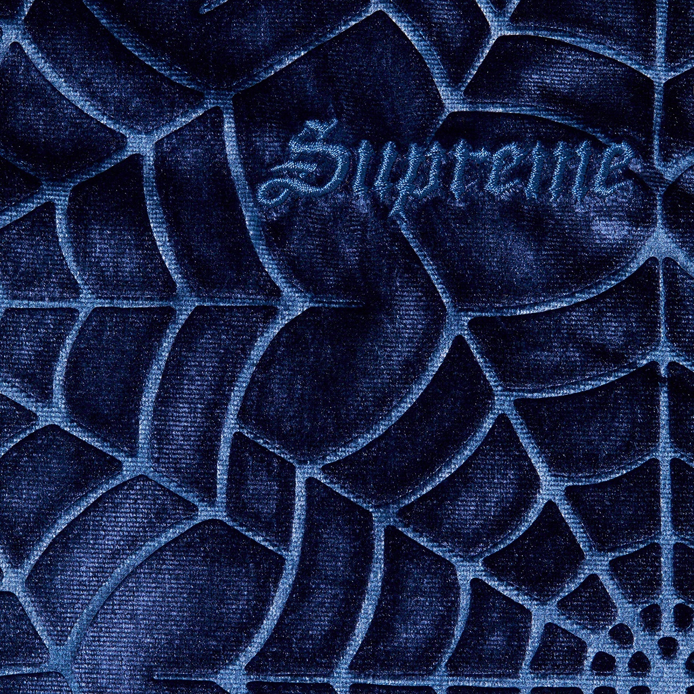 Spider Web Velvet S/S Shirt view 6